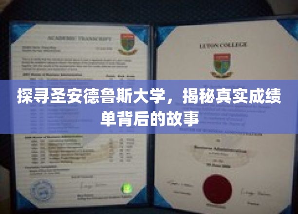 解码圣安德鲁斯卓越学府，一纸成绩单背后的传奇轨迹