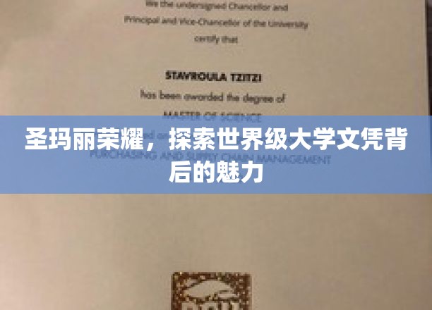 圣玛丽荣耀，探索世界级大学文凭背后的魅力