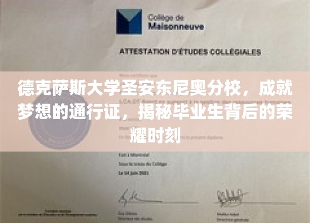 德克萨斯大学圣安东尼奥分校，毕业生荣耀之路，开启梦想新篇章