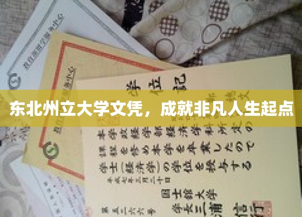 东北州立大学文凭，开启非凡人生新篇章