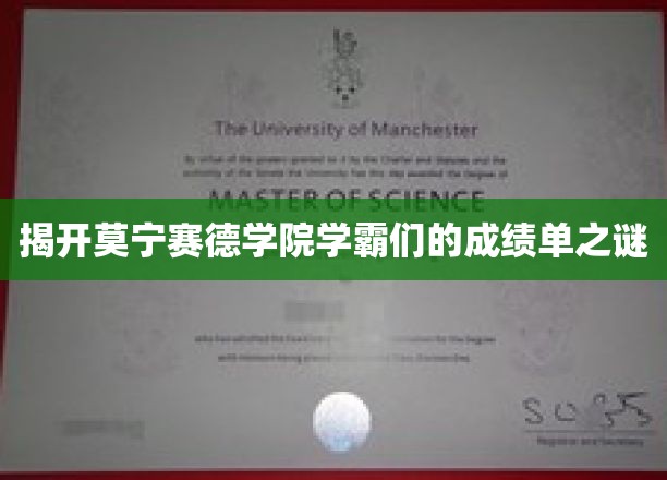 探寻莫宁赛德学院学霸们的学习奥秘