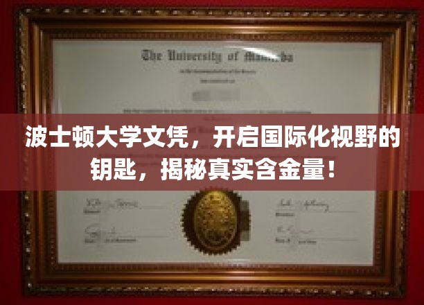 波士顿大学学历，解锁全球视野的金钥匙，深度解析其价值与魅力