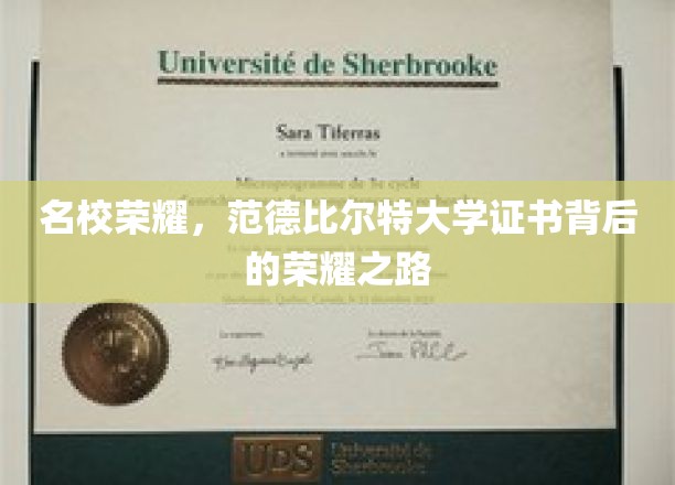解码名校光环，揭秘范德比尔特大学证书的辉煌历程
