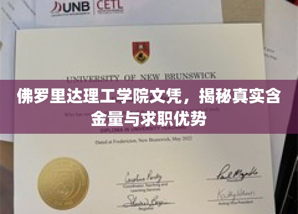 揭开佛罗里达理工学院文凭的职场密码，求职者的秘密武器