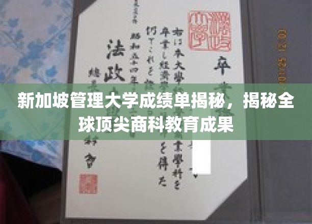新加坡管理大学成绩单背后的全球商科教育奇迹