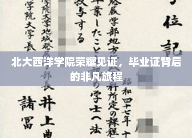 北大西洋学院荣耀见证，毕业证背后的非凡旅程