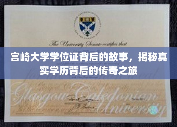 宫崎大学学位证，揭开学历传奇背后的神秘面纱