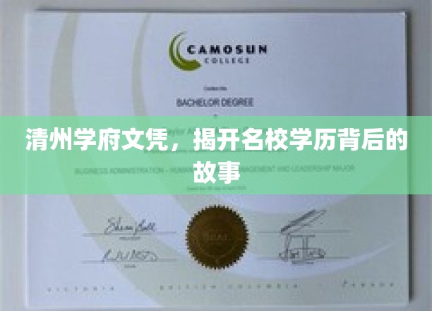 清州学府文凭，揭示名校学历背后的故事