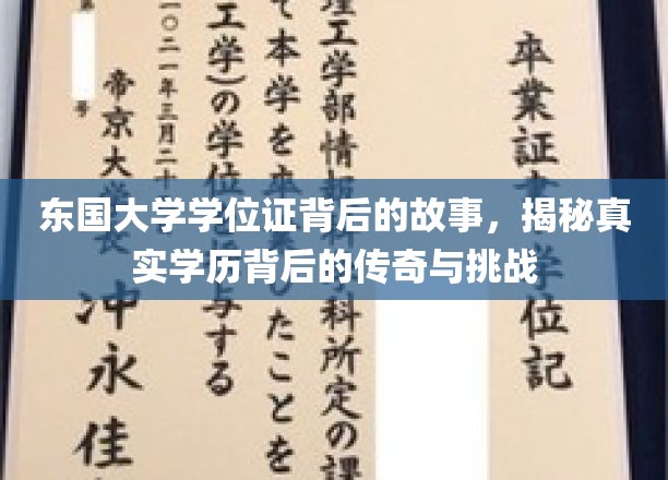 东国大学学位证，揭开学历传奇背后的艰辛历程