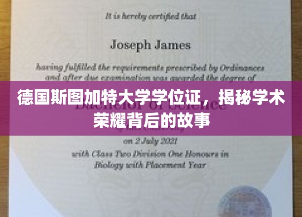 德国斯图加特大学学位证，揭秘学术荣耀背后的故事