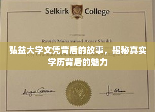 弘益大学文凭的幕后传奇，探寻学历背后的独特魅力