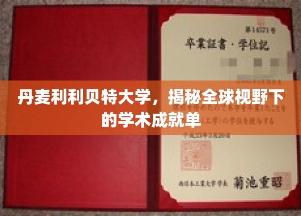 探秘丹麦利利贝特大学，全球视野中的学术辉煌之旅