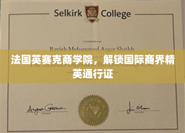 法国英赛克商学院，解锁国际商界精英通行证