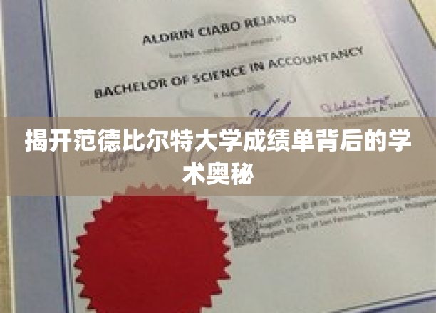 探索范德比尔特大学成绩单背后的学术秘密网