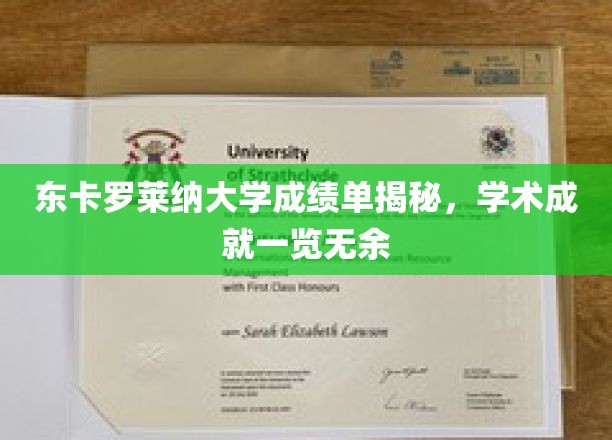 东卡罗莱纳大学学子风采，揭秘隐藏在成绩单背后的学术辉煌