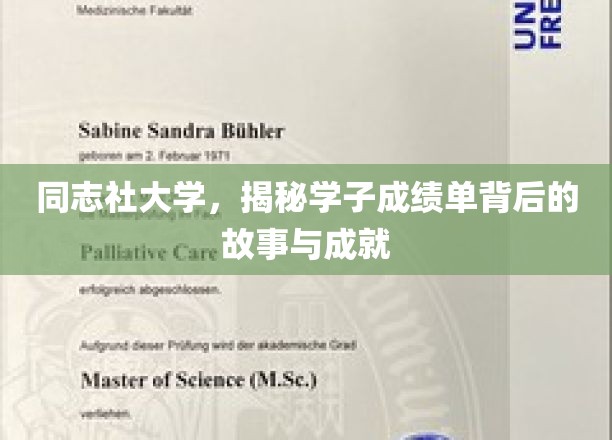 探索同志社大学，学子成绩单背后的辉煌与奋斗