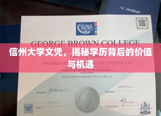 学历敲门砖，信州大学文凭背后的无限潜能与机遇探索