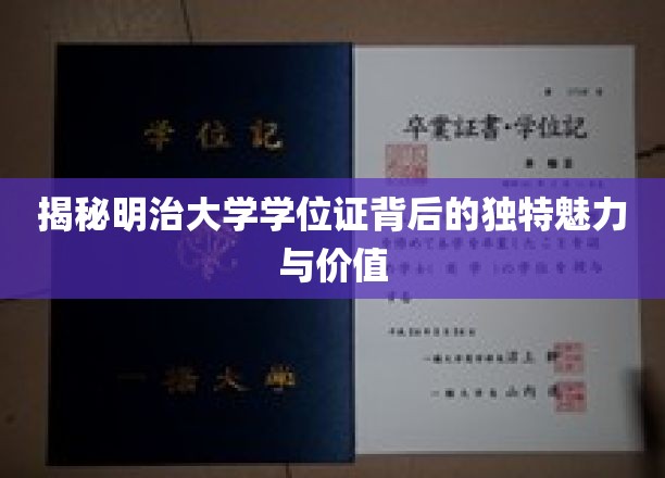 明治大学学位证，探寻其非凡内涵与珍贵价值