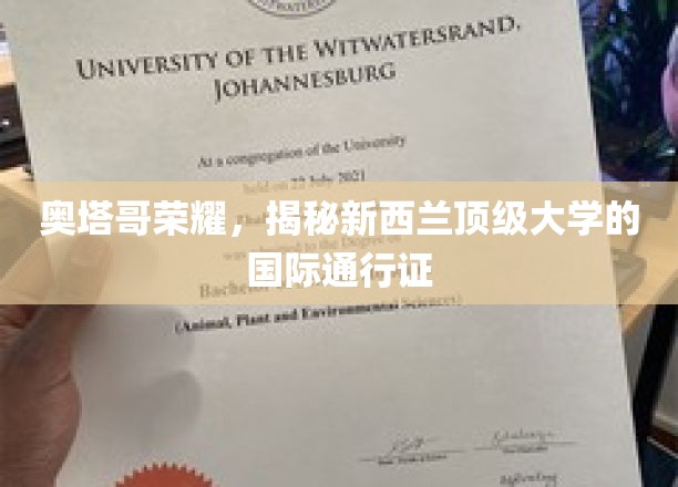 奥塔哥荣耀，揭秘新西兰顶级大学的国际通行证