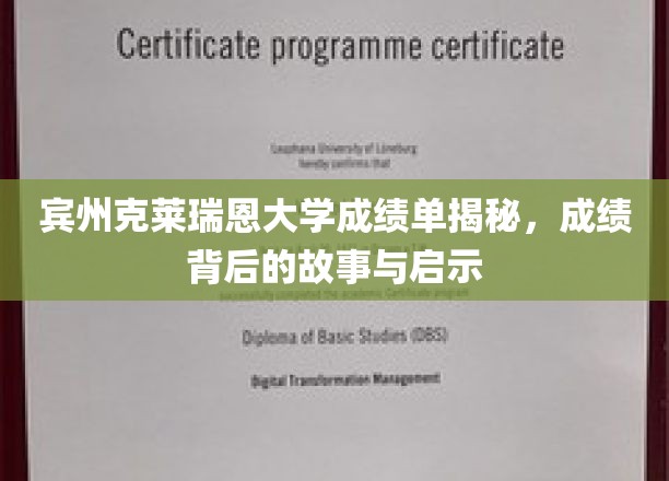 宾州克莱瑞恩大学成绩单背后的故事，探索教育启示与成长轨迹