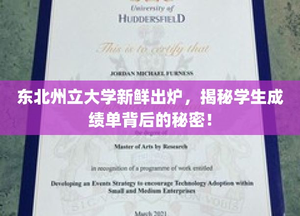 东北州立大学新鲜出炉，揭秘学生成绩单背后的秘密！