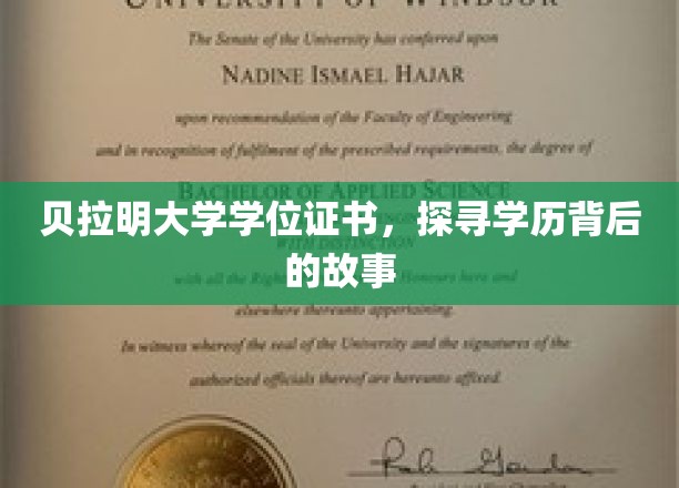揭开贝拉明大学学位证书的神秘面纱，一段不为人知的学历传奇
