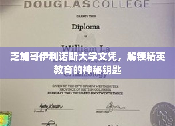 解锁精英之门，芝加哥伊利诺斯大学文凭的秘密通行证
