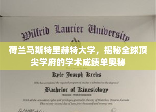 荷兰马斯特里赫特大学，探索全球顶尖学府的学术成绩单之谜