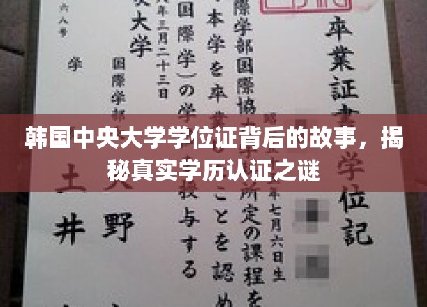 韩中央大学学位证疑云，探寻学历认证背后的真相与挑战