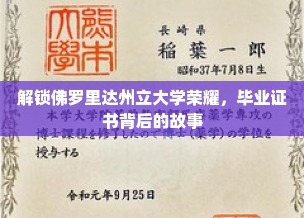 揭秘佛罗里达州立大学证书荣耀，毕业背后的不凡历程