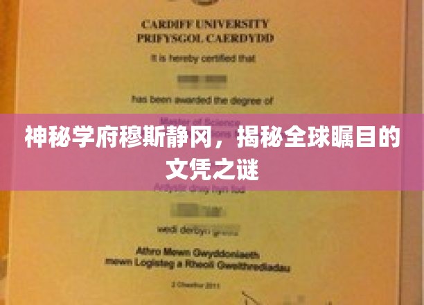 穆斯静冈学府之谜，探寻全球瞩目文凭背后的传奇故事