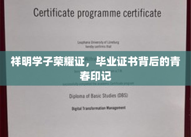 青春足迹映证祥明荣耀，毕业证书里的独家青春故事