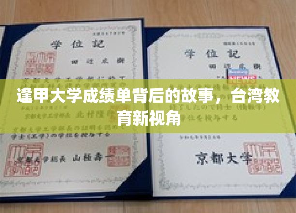 逢甲大学成绩单背后的故事，台湾教育新视角