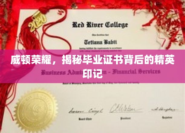 威顿荣耀揭秘，毕业证书背后的精英印记大揭秘