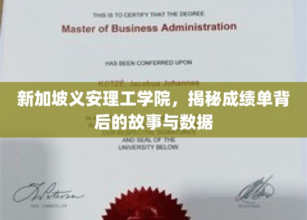 解码新加坡义安理工学院，成绩单背后的数据秘密与真实故事