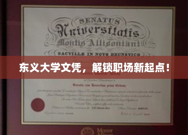 东义大学文凭，解锁职场新起点！