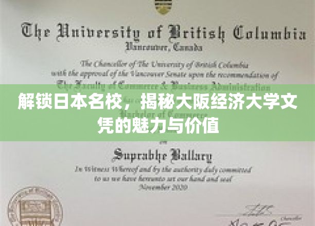 揭秘大阪经济大学文凭的魅力与价值