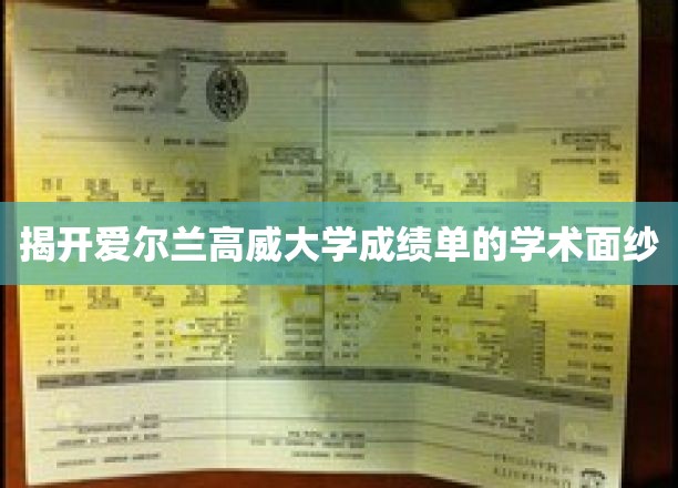 揭开爱尔兰高威大学成绩单的学术面纱