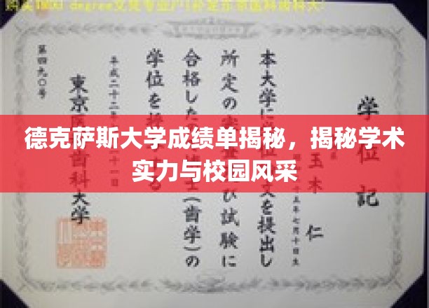 解码德克萨斯大学，成绩单背后的学术魅力与校园风光