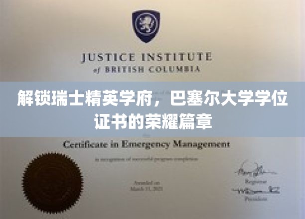 巴塞尔大学学位证书，瑞士精英教育的璀璨印记