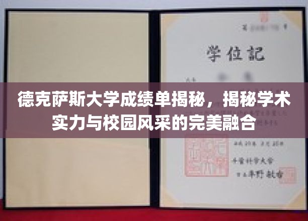 德克萨斯大学，揭秘学术荣耀与校园魅力的双重风采