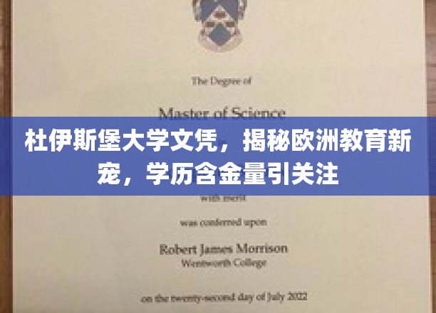 杜伊斯堡大学文凭，揭秘欧洲教育新宠，学历含金量引关注