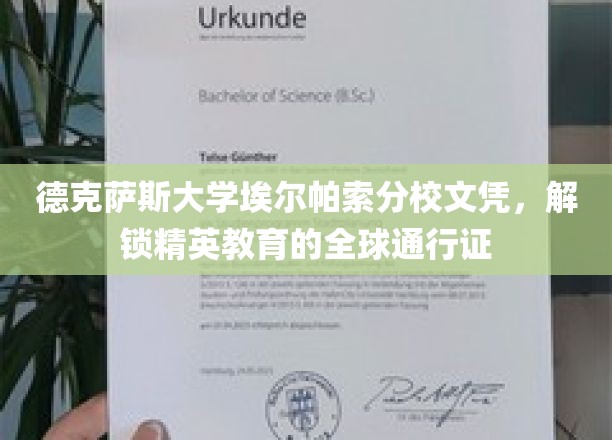 德克萨斯大学文凭，全球精英之路的通行钥匙