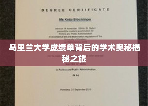 探索马里兰大学成绩单背后的学术神秘面纱
