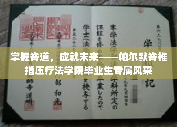 掌握脊道，成就未来——帕尔默脊椎指压疗法学院毕业生风采展示