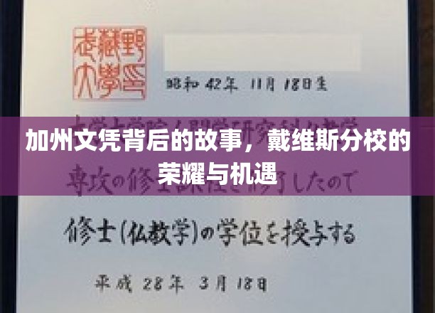 戴维斯分校荣耀探秘，加州文凭背后的机遇与传奇