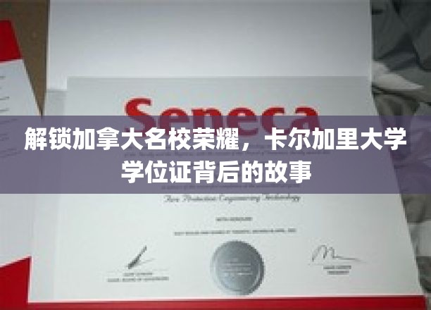 解锁加拿大名校荣耀，卡尔加里大学学位证背后的故事
