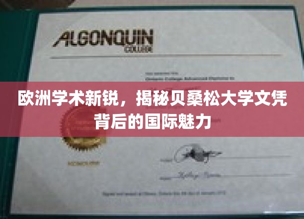 探寻贝桑松大学文凭的国际吸引力，欧洲学术新星眼中的独特魅力