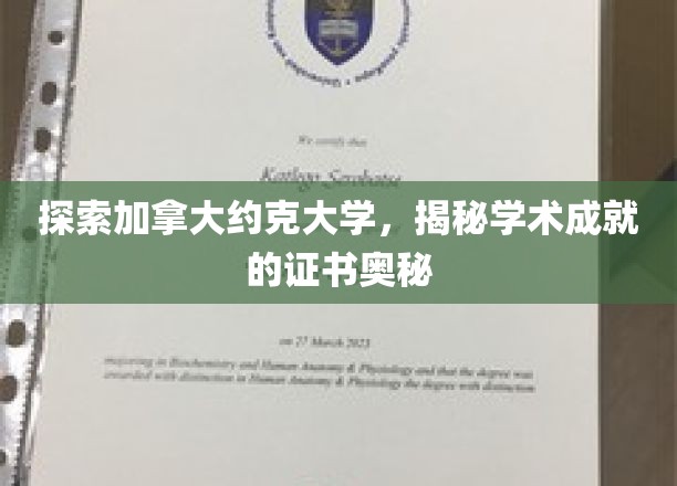 解锁约克大学荣誉证书，一探加拿大顶尖学府的学术荣耀之路