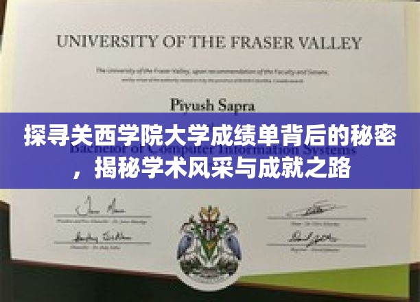 解锁关西学院大学成绩单，揭秘学子们的卓越成长轨迹